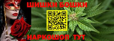 гидра Ставрополь