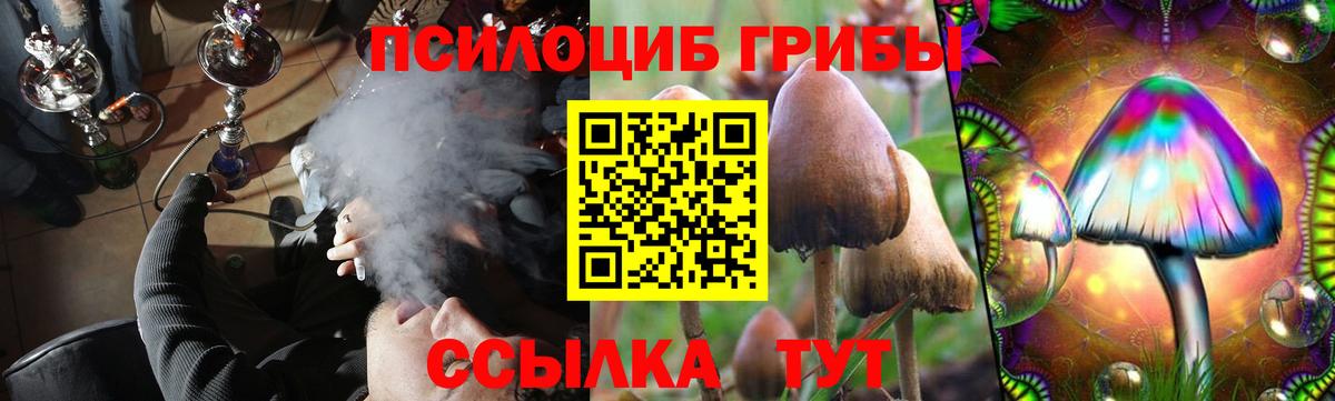 Россошь  Галлюциногенные грибы GOLDEN TEACHER  Галлюциногенные грибы Magic Shrooms  Вход с VPN 
